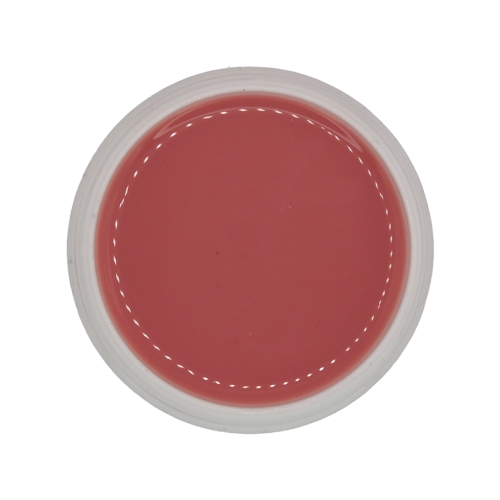 NAM24 - Fiberglas Gel Make Up Camouflage | -2